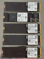 Samsung/WD 256GB NVMe PCIe Gen3 x4 M.2 2280 SSD (20x SSD)